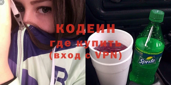 индика Верхний Тагил