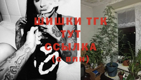 ГАЛЛЮЦИНОГЕННЫЕ ГРИБЫ Верея