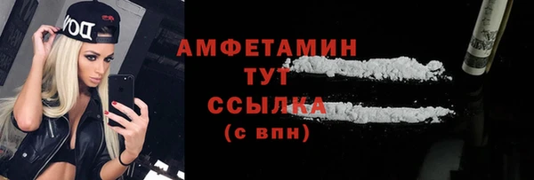 ГАЛЛЮЦИНОГЕННЫЕ ГРИБЫ Верея