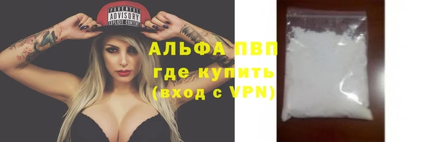 ГАЛЛЮЦИНОГЕННЫЕ ГРИБЫ Верея