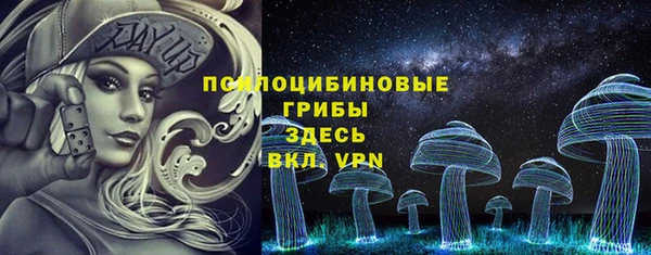 ГАЛЛЮЦИНОГЕННЫЕ ГРИБЫ Верея