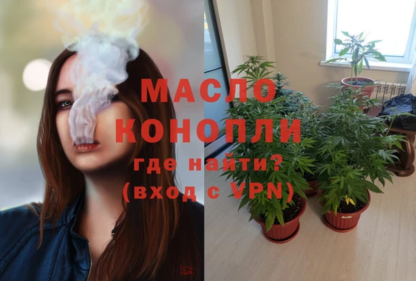 индика Верхний Тагил
