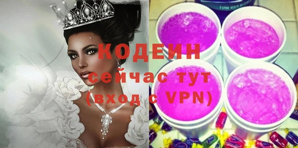 индика Верхний Тагил