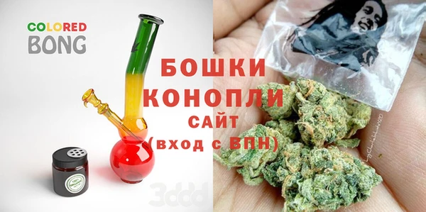 ГАЛЛЮЦИНОГЕННЫЕ ГРИБЫ Верея