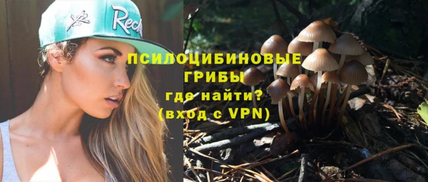 ГАЛЛЮЦИНОГЕННЫЕ ГРИБЫ Верея