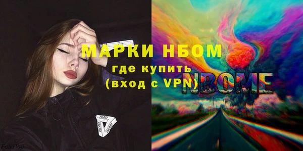 индика Верхний Тагил
