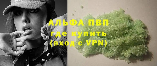 индика Верхний Тагил