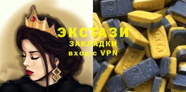 индика Верхний Тагил